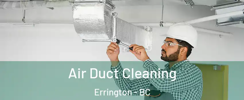  Air Duct Cleaning Errington - BC