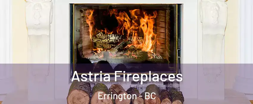  Astria Fireplaces Errington - BC