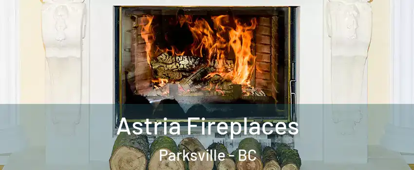  Astria Fireplaces Parksville - BC