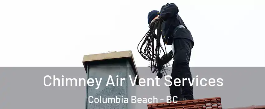  Chimney Air Vent Services Columbia Beach - BC