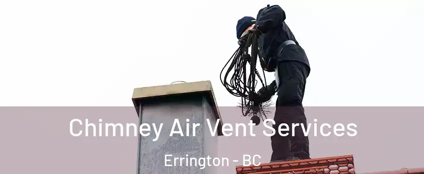  Chimney Air Vent Services Errington - BC