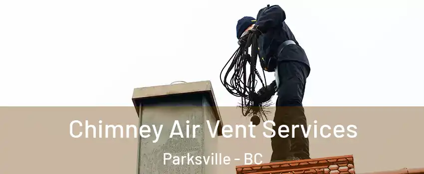  Chimney Air Vent Services Parksville - BC