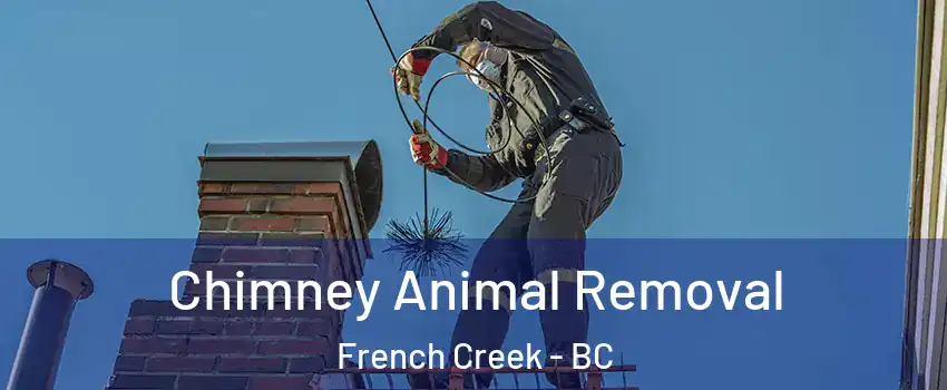 Chimney Animal Removal French Creek - BC