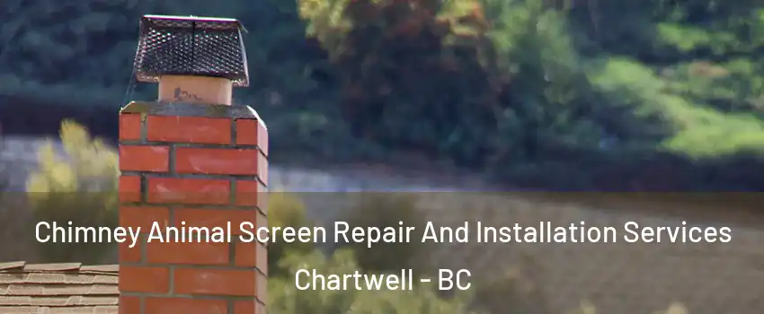  Chimney Animal Screen Repair And Installation Services Chartwell - BC