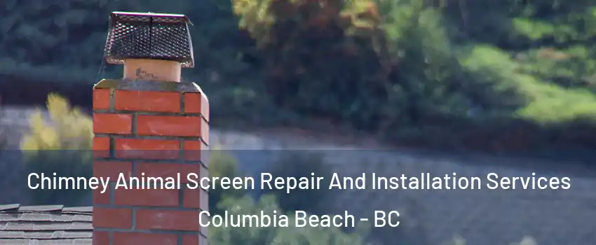  Chimney Animal Screen Repair And Installation Services Columbia Beach - BC