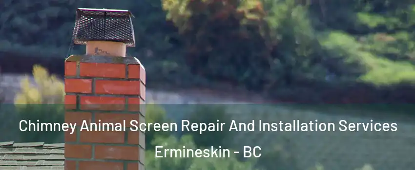  Chimney Animal Screen Repair And Installation Services Ermineskin - BC