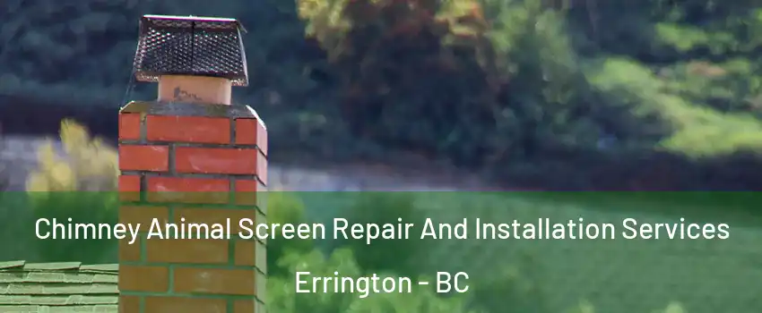  Chimney Animal Screen Repair And Installation Services Errington - BC