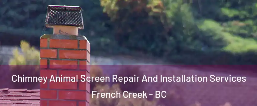 Chimney Animal Screen Repair And Installation Services French Creek - BC