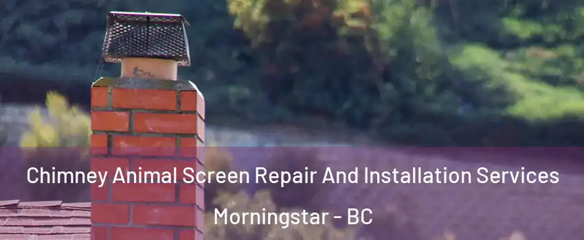  Chimney Animal Screen Repair And Installation Services Morningstar - BC