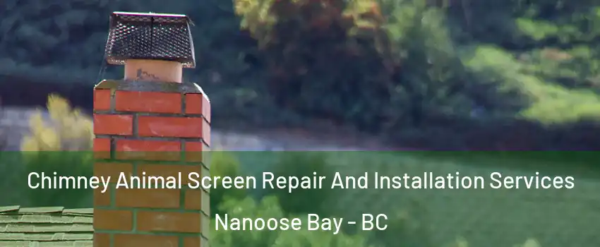  Chimney Animal Screen Repair And Installation Services Nanoose Bay - BC
