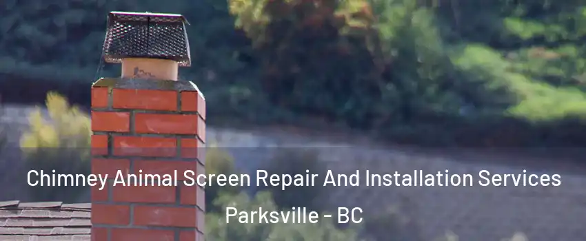  Chimney Animal Screen Repair And Installation Services Parksville - BC