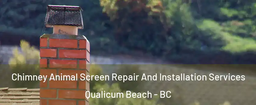  Chimney Animal Screen Repair And Installation Services Qualicum Beach - BC