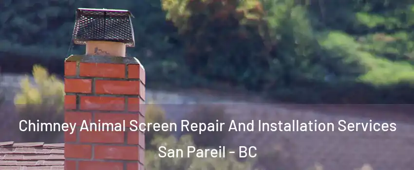  Chimney Animal Screen Repair And Installation Services San Pareil - BC