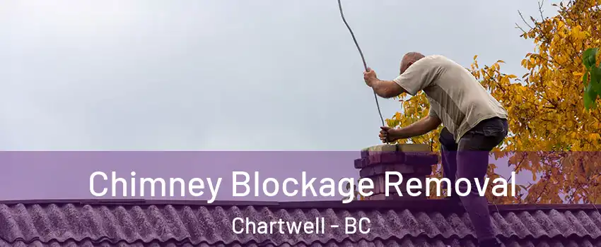  Chimney Blockage Removal Chartwell - BC