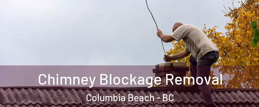  Chimney Blockage Removal Columbia Beach - BC