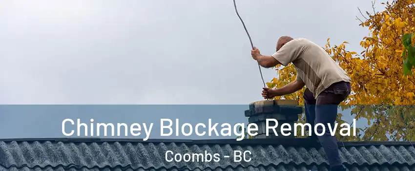  Chimney Blockage Removal Coombs - BC