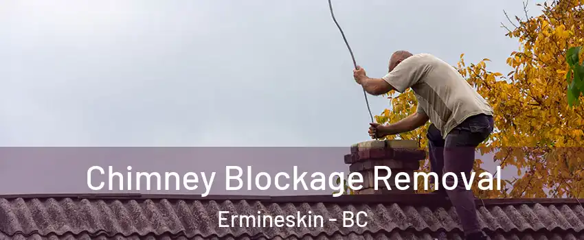  Chimney Blockage Removal Ermineskin - BC