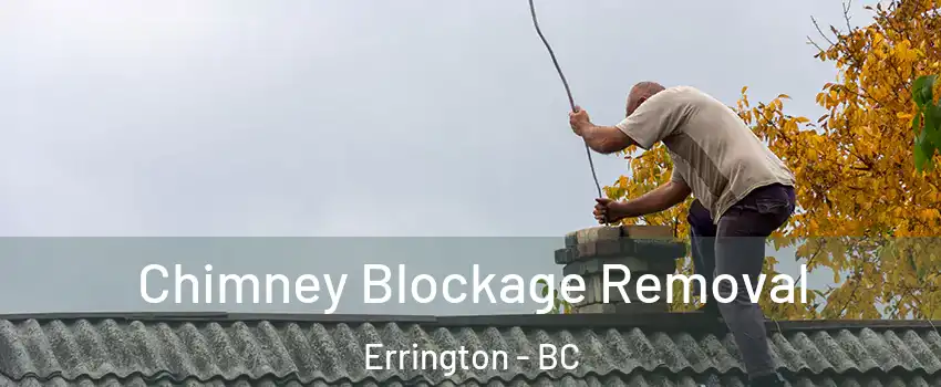  Chimney Blockage Removal Errington - BC