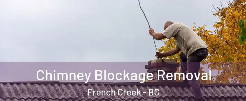  Chimney Blockage Removal French Creek - BC