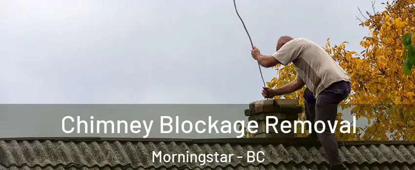  Chimney Blockage Removal Morningstar - BC