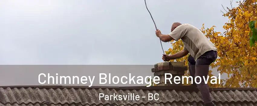  Chimney Blockage Removal Parksville - BC
