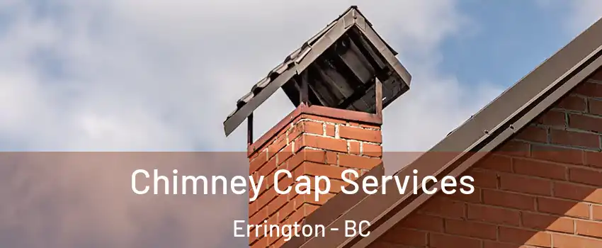  Chimney Cap Services Errington - BC