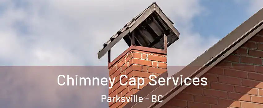  Chimney Cap Services Parksville - BC