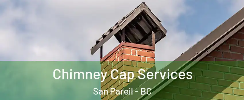  Chimney Cap Services San Pareil - BC