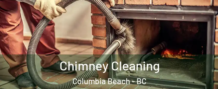  Chimney Cleaning Columbia Beach - BC