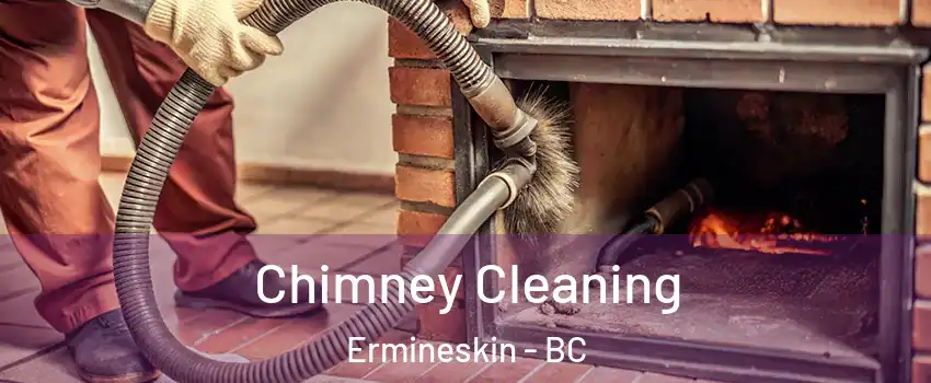  Chimney Cleaning Ermineskin - BC