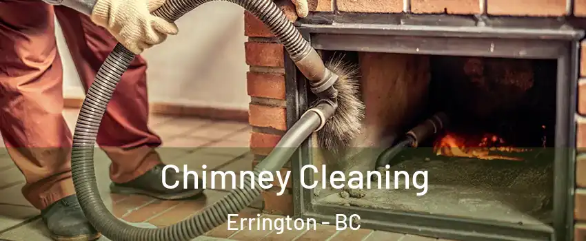  Chimney Cleaning Errington - BC