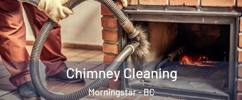  Chimney Cleaning Morningstar - BC