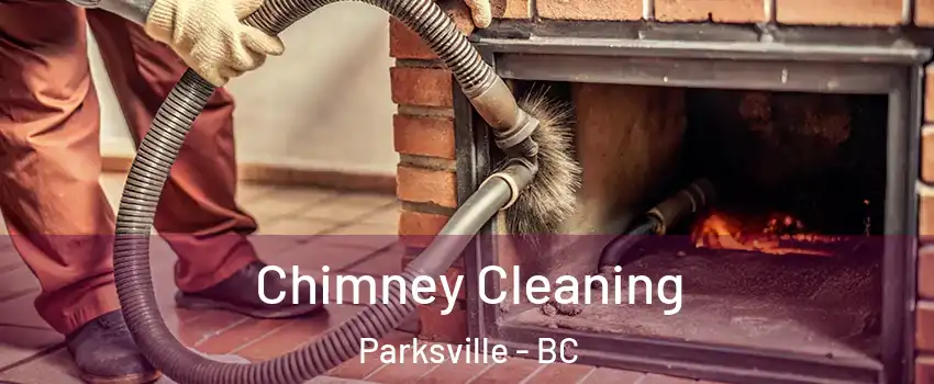  Chimney Cleaning Parksville - BC