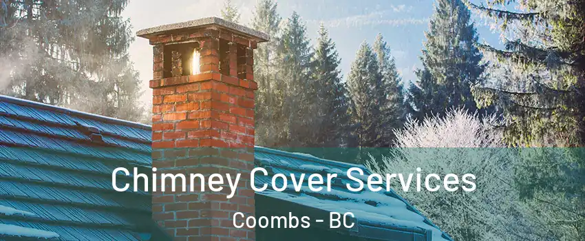  Chimney Cover Services Coombs - BC