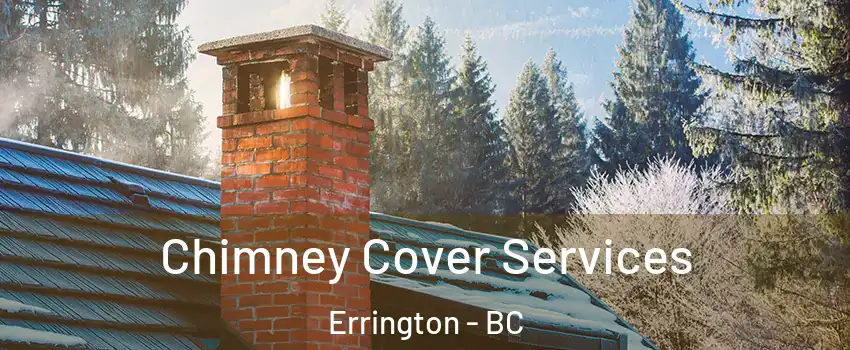  Chimney Cover Services Errington - BC