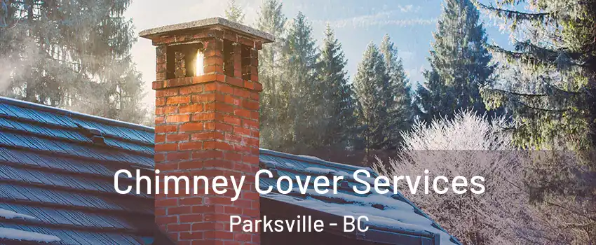  Chimney Cover Services Parksville - BC