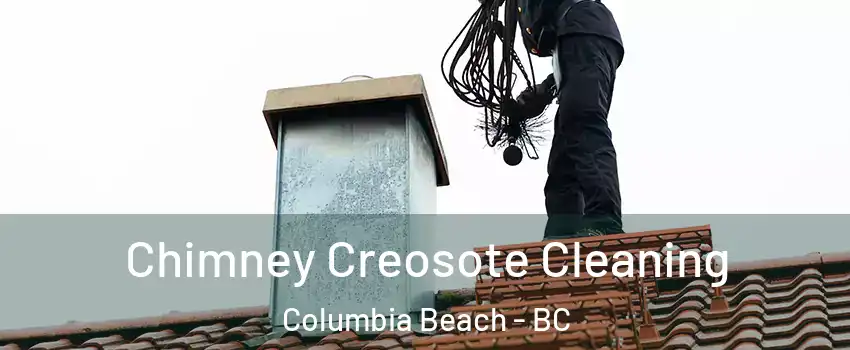 Chimney Creosote Cleaning Columbia Beach - BC