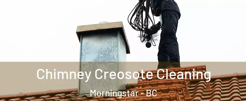  Chimney Creosote Cleaning Morningstar - BC