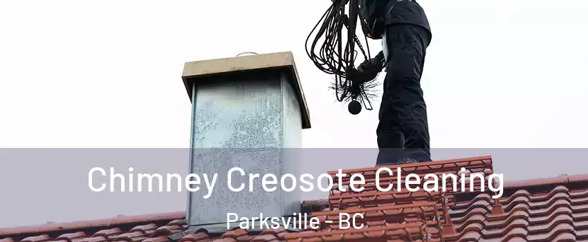  Chimney Creosote Cleaning Parksville - BC