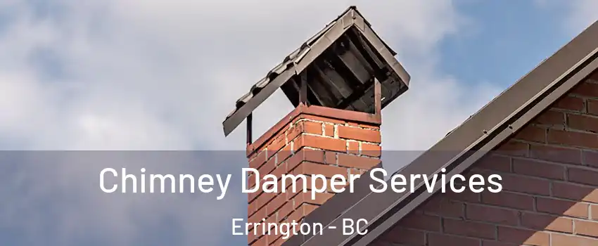  Chimney Damper Services Errington - BC