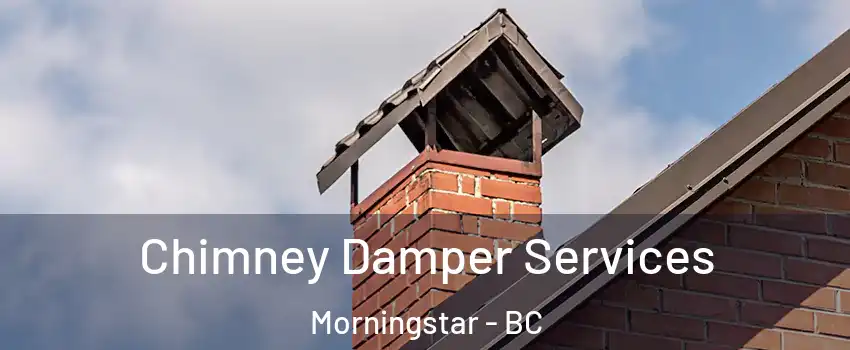 Chimney Damper Services Morningstar - BC