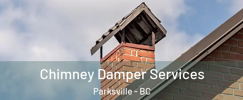  Chimney Damper Services Parksville - BC