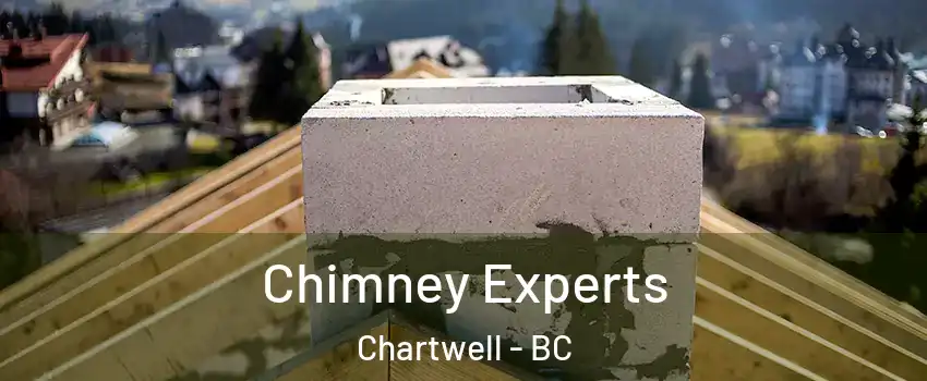 Chimney Experts Chartwell - BC