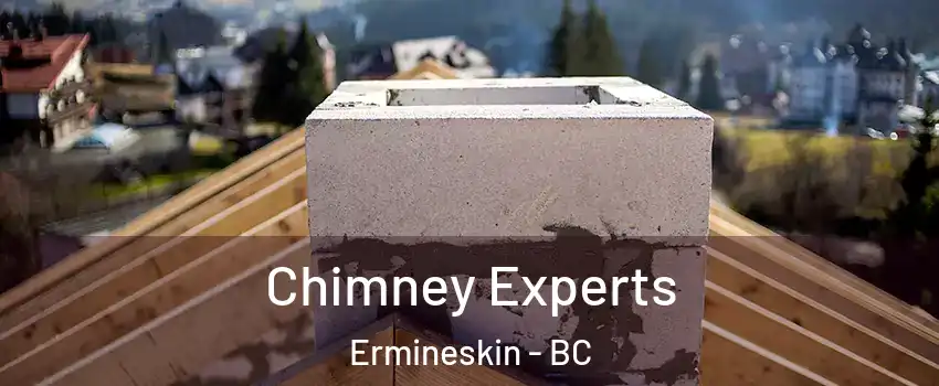 Chimney Experts Ermineskin - BC
