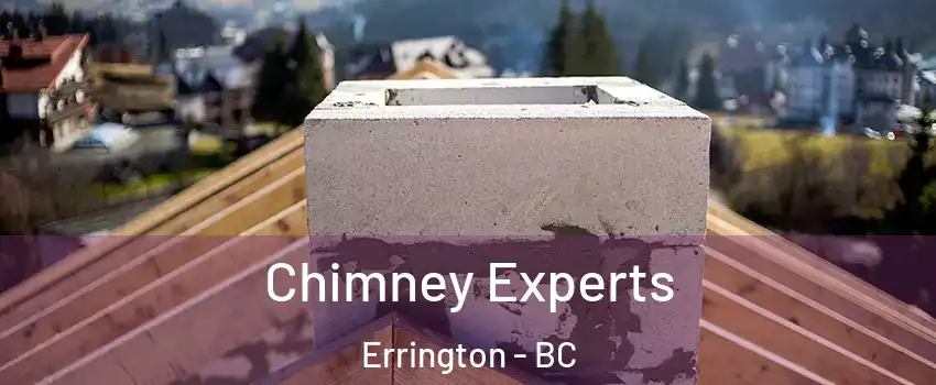 Chimney Experts Errington - BC