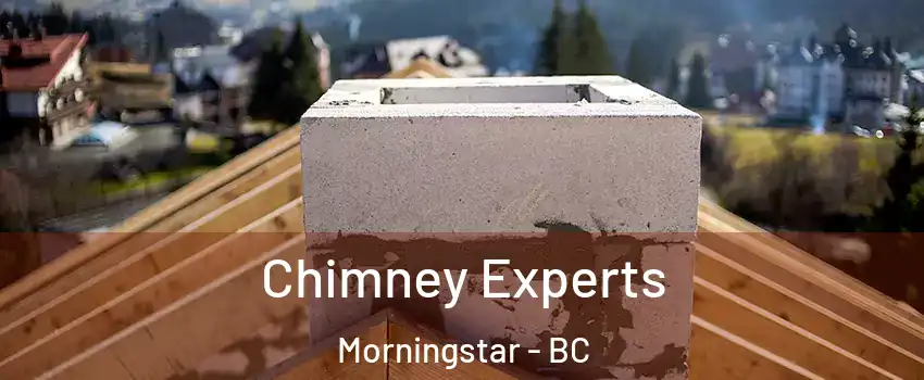 Chimney Experts Morningstar - BC