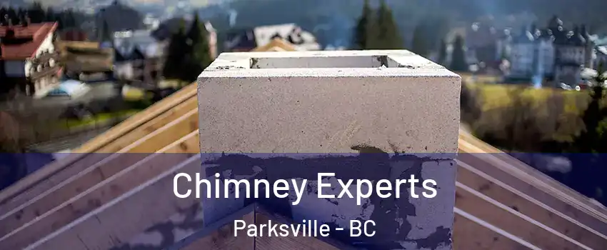 Chimney Experts Parksville - BC