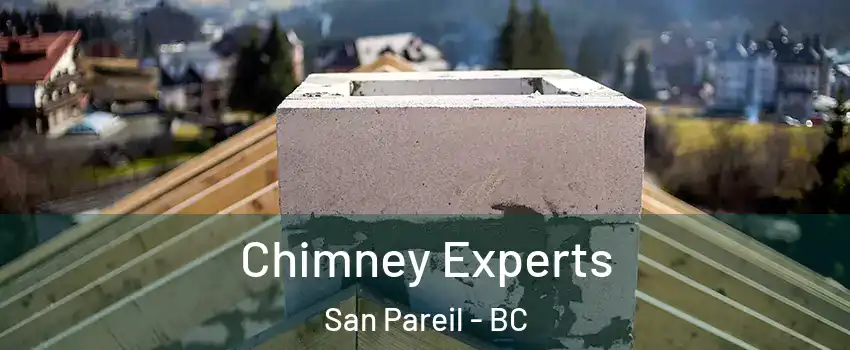 Chimney Experts San Pareil - BC