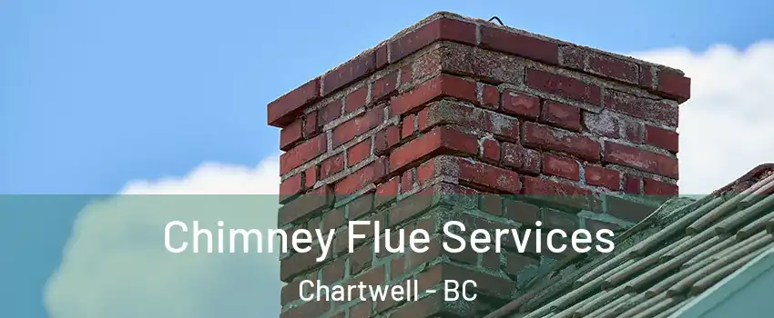  Chimney Flue Services Chartwell - BC