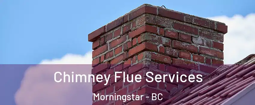 Chimney Flue Services Morningstar - BC